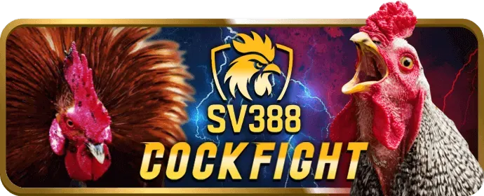 Nền tảng big79 an toàn